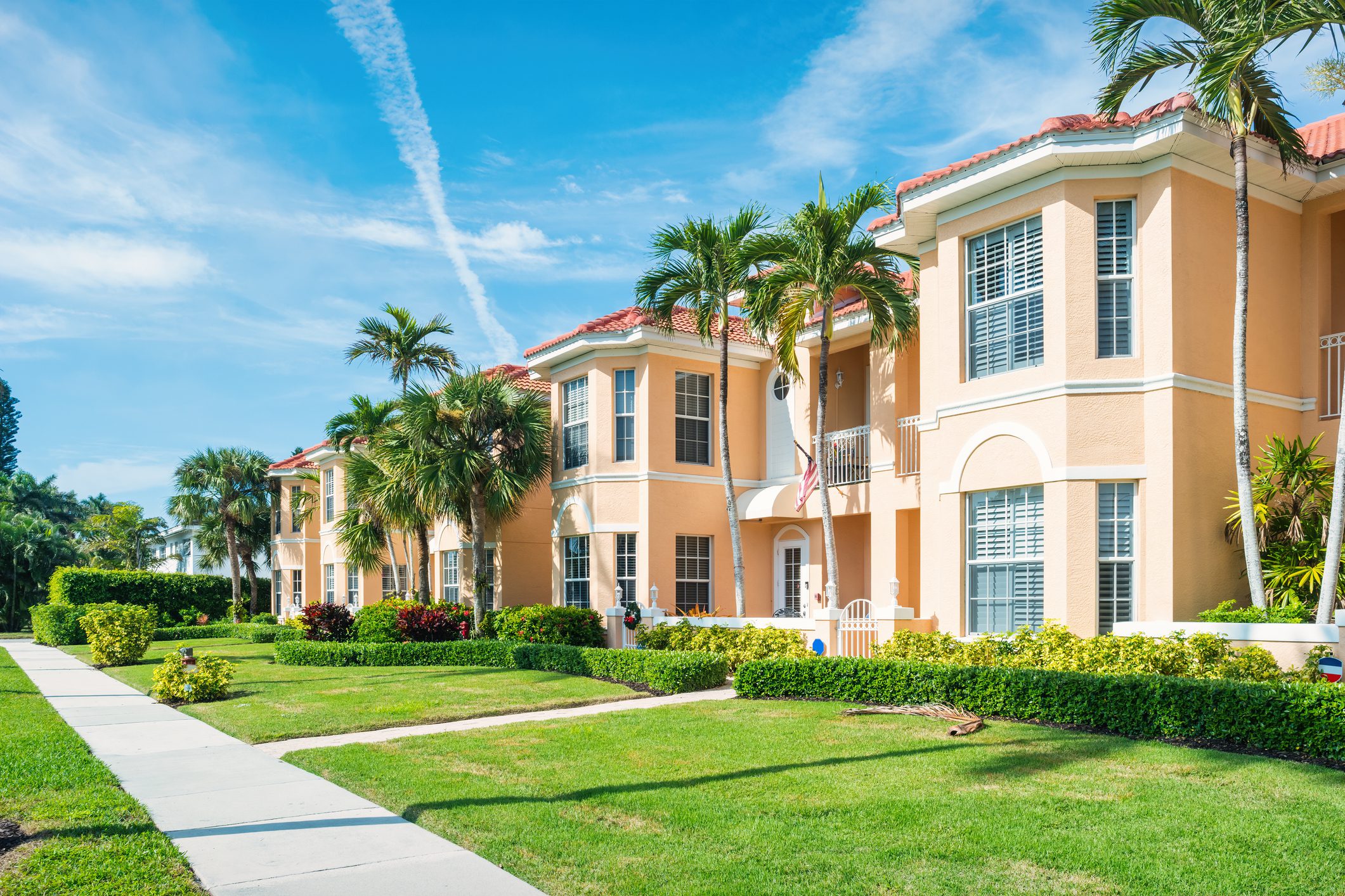Row of townhouses with palm trees in front of them, surrounded by lush green grass, plants, and trees