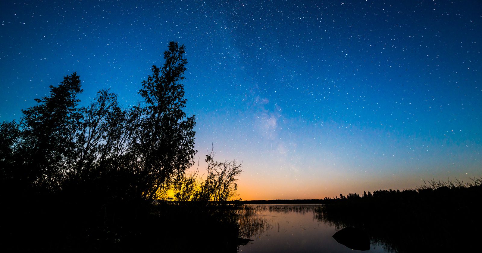 Lake surrounded by trees, with the night sky above filled with stars